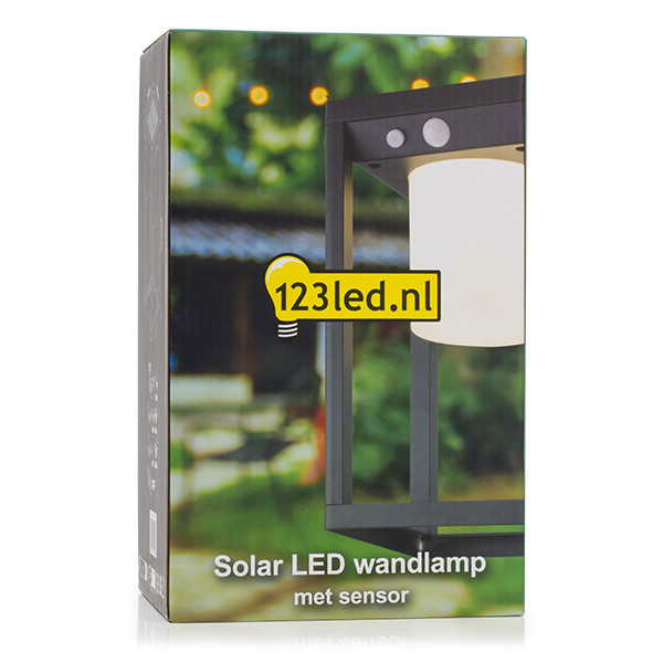 123inkt Ηλιακός επιτοίχιος λαμπτήρας 123 led Kingsbridge με αισθητήρα KH1972DN LDR08540 - 5