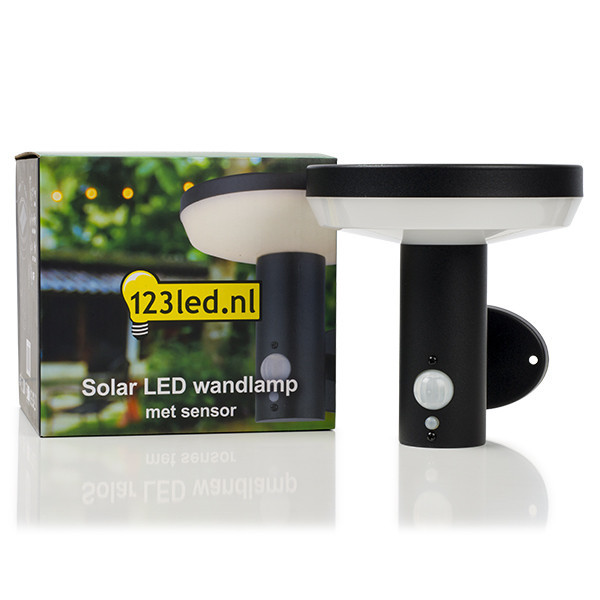 123inkt Ηλιακός επιτοίχιος λαμπτήρας 123 led Notting Hill με αισθητήρα KH1960AWU-1 LDR08544 - 2