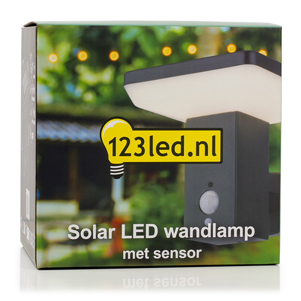 123inkt Ηλιακός επιτοίχιος λαμπτήρας 123 led Primrose Hill με αισθητήρα KH1964AWU-1 LDR08545 - 5
