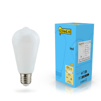 Λάμπα LED 123led E27 Edison Mat Dimmable 7W Warm White (60W) LDR02116
