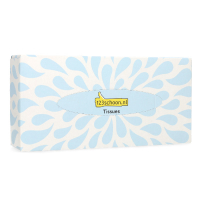 Χαρτομάντηλα 123ιnk 2-στρωμάτων (100 φύλλα) SDR07358