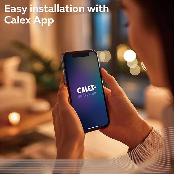 Smart λάμπα Calex E27 Edison ST64 Gold WiFi (Tuya) LCA01193 - 5