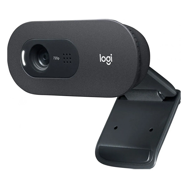 Webcam Logitech C505e HD 828119 - 2