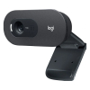 Webcam Logitech C505e HD 828119 - 2