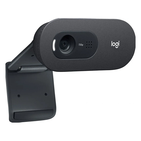Webcam Logitech C505e HD 828119 - 3