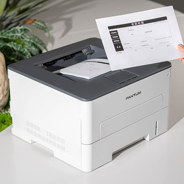 Eκτυπωτής Laser Pantum P3010DW A4 με WiFi Mono 850205 - 6