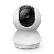 IP Cameras